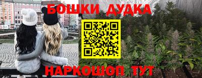 гидра Обь