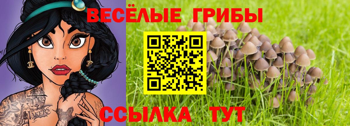 Псилоцибиновые грибы ЛСД  Вход с VPN  Сибай 